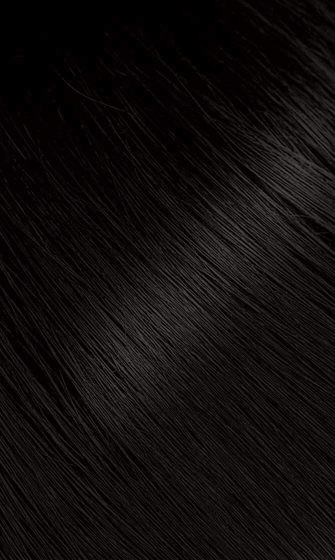 #57 Dark Brown Bigen Permanent Powder - 6 Pack - Image 2